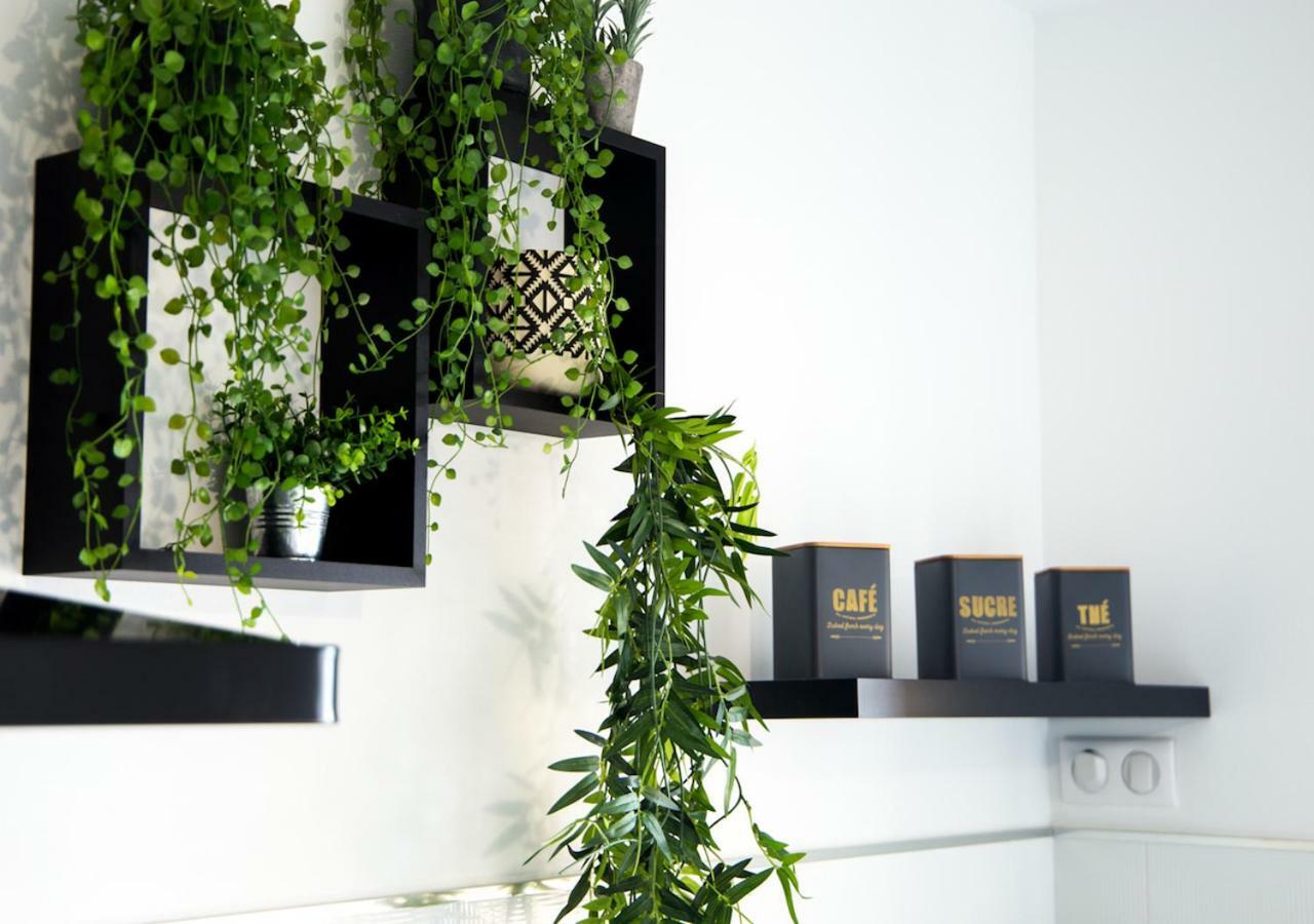Vue Exceptionnelle Debut Cap Corse La Pier Noire Apartment San-Martino-di-Lota Екстериор снимка
